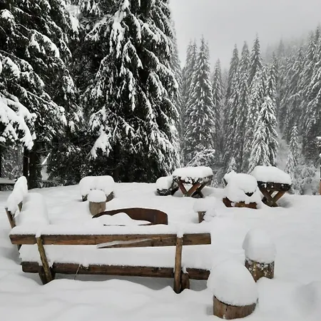 Cabana Patru Brazi Stâna de Vale Exterior foto