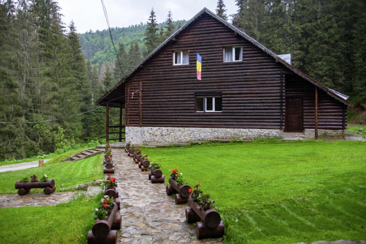 Lodge Patru Brazi *