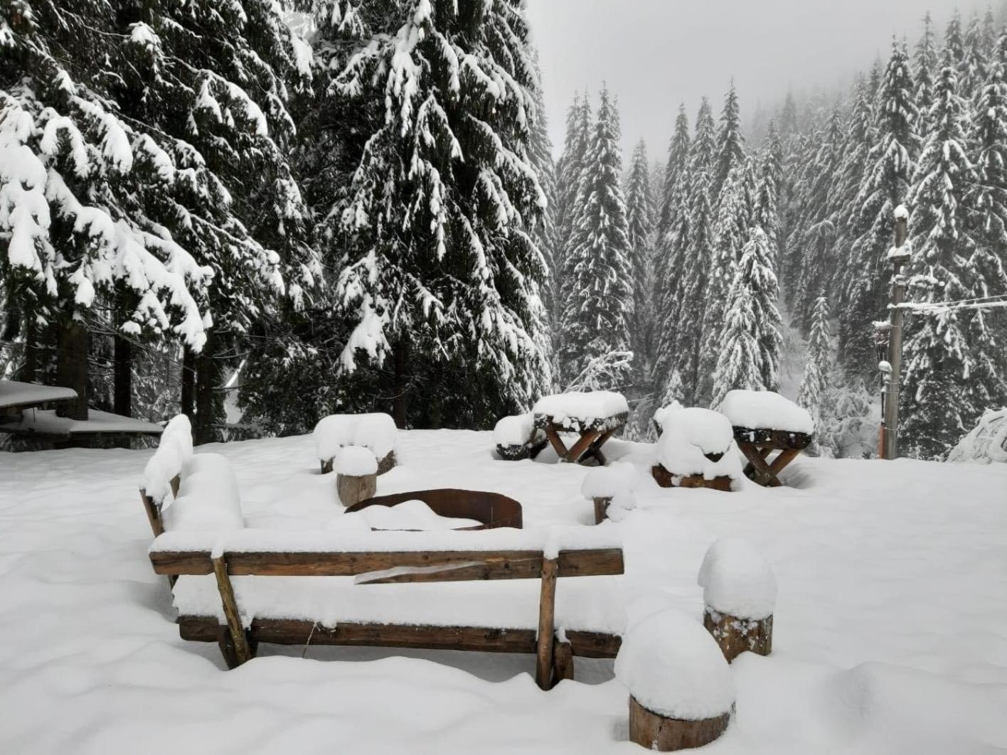 Lodge Patru Brazi Stana de Vale