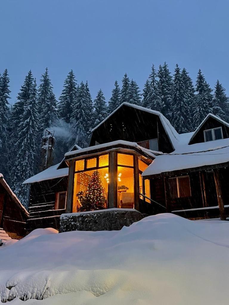 Patru Brazi Lodge Stana de Vale