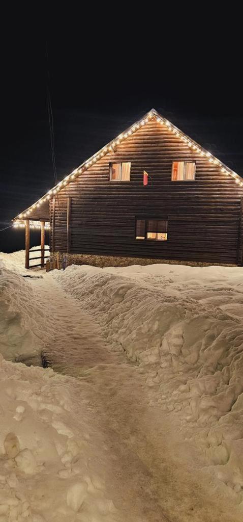 Lodge Patru Brazi