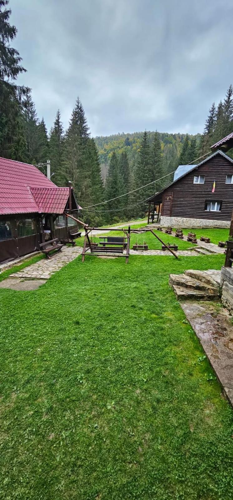 Lodge Patru Brazi